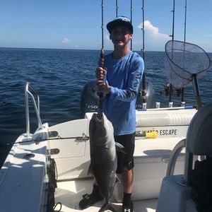 Meet your Posher, Blake